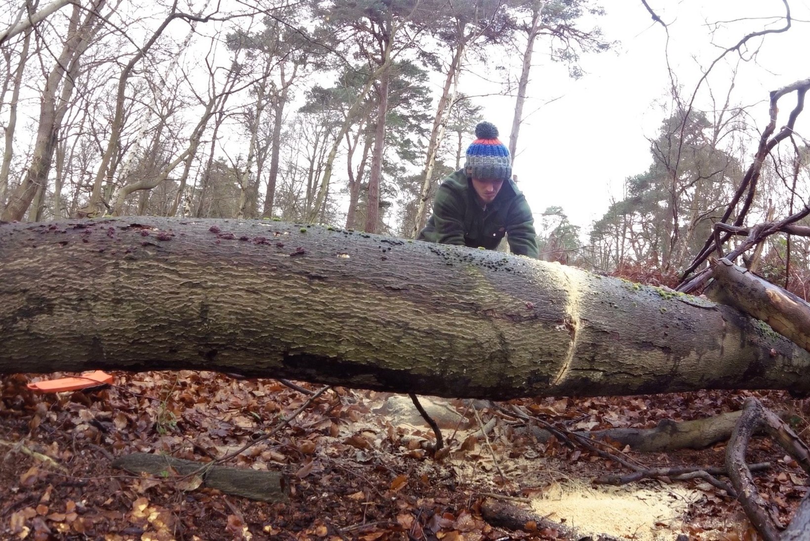 VIDEO | TEE ISE: puust vaagen algusest otsani