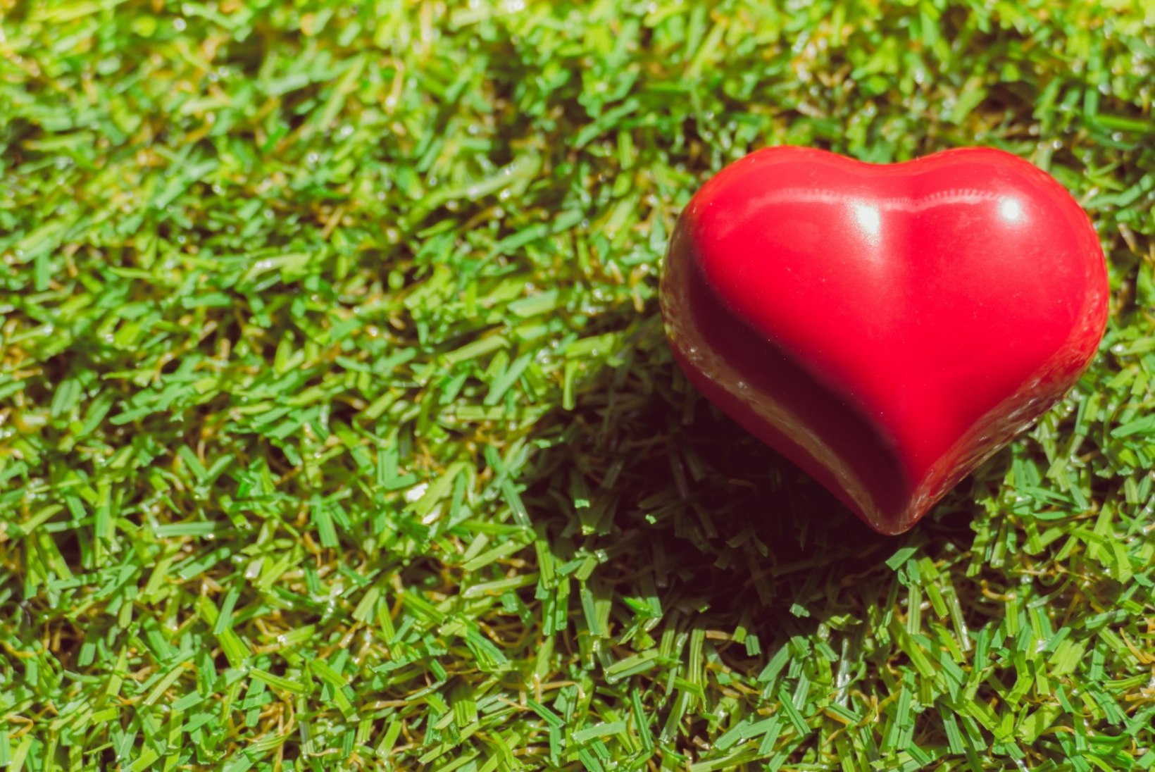 Kuidas hoida südant pärast infarkti?