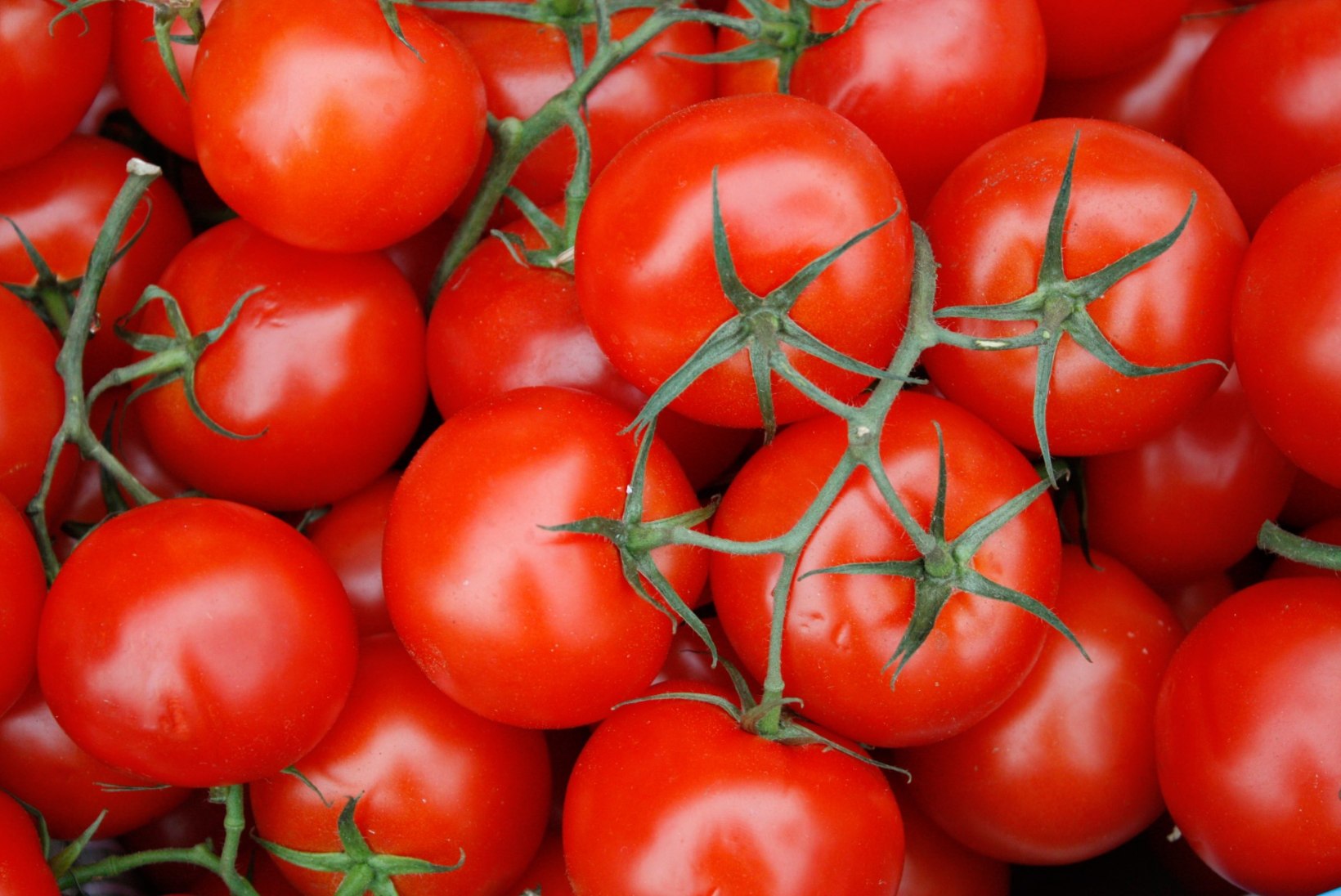 Ohoo! Põnevaid fakte ja kasulikke nippe tomatite kohta! 