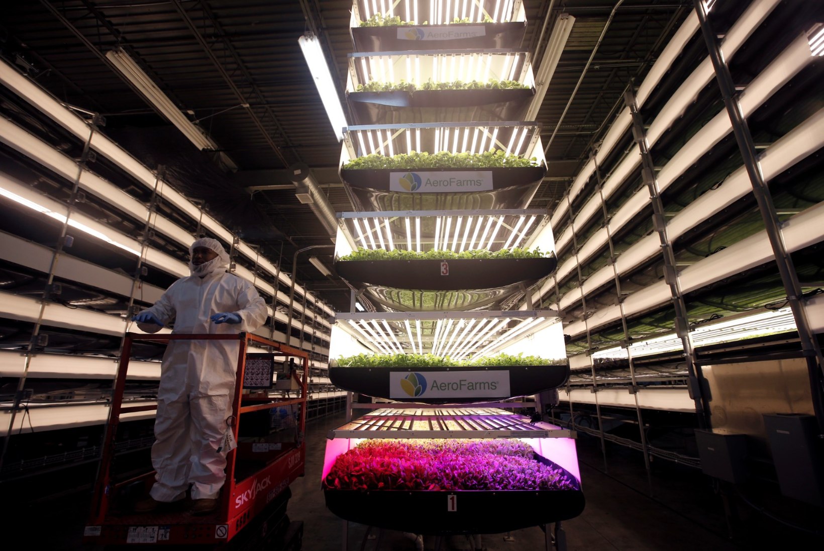 Kas tuleviku toidukraam võiks kasvada laoriiulitel?