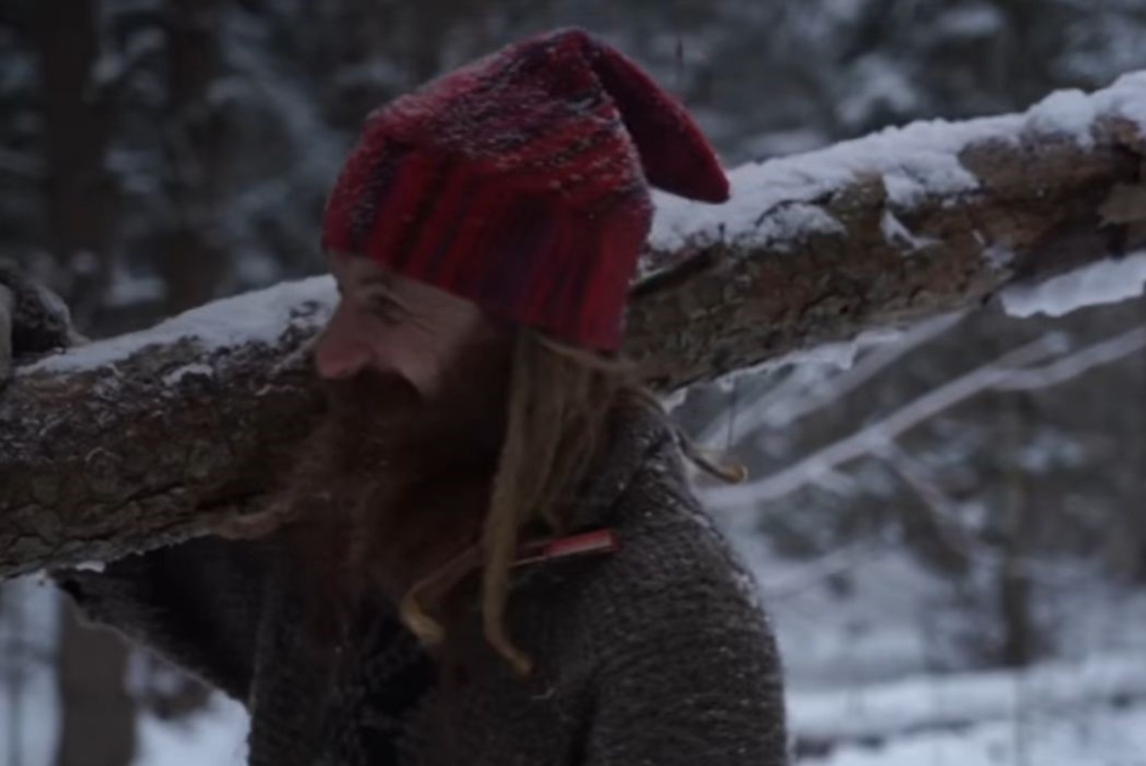 VIDEO | Vene hipster elab koopas kääbikuelu