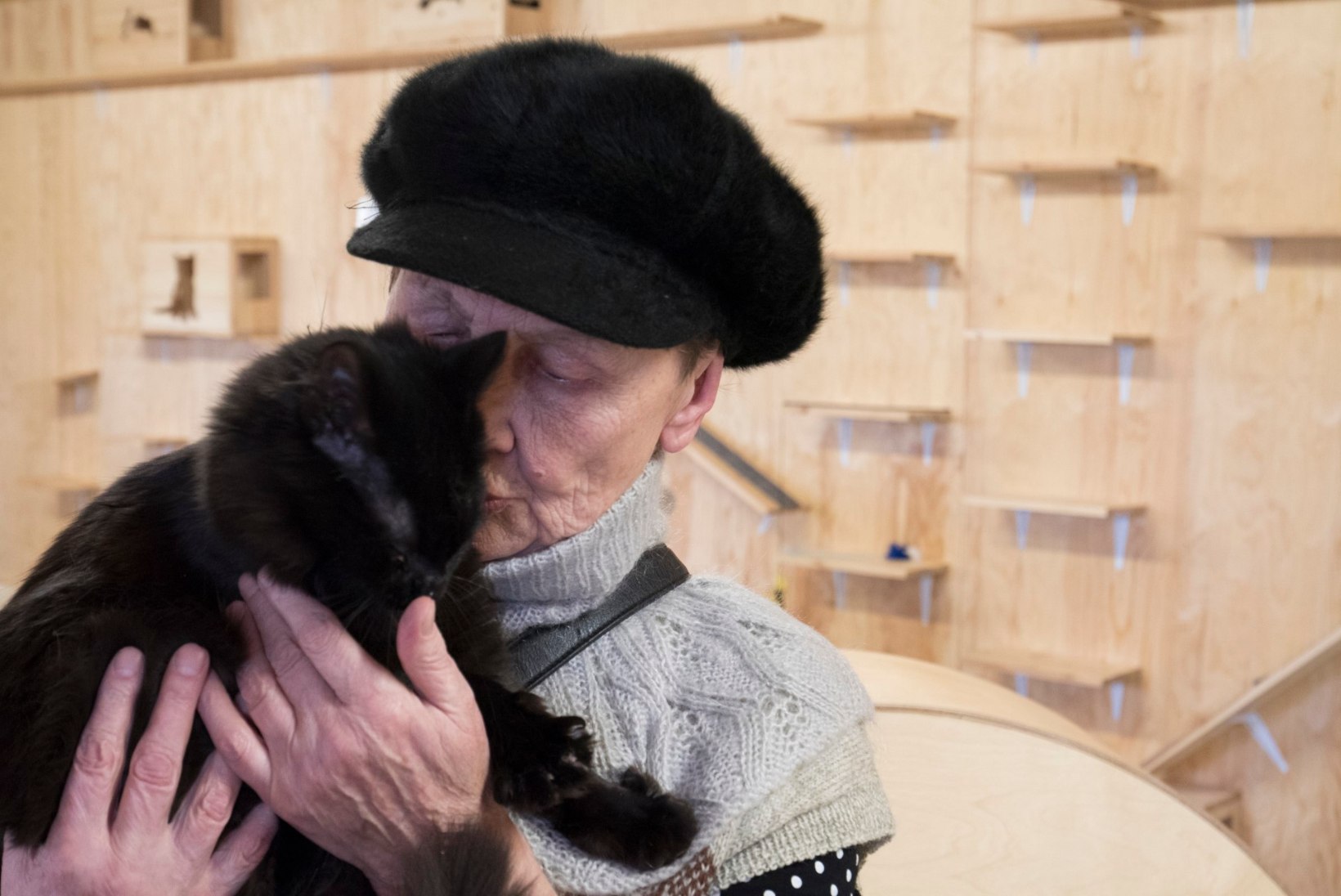 SÜDAMLIK VIDEO | Vanaproua otsis varjupaigast kassi, kes tema pisikesse tuppa rõõmu tooks