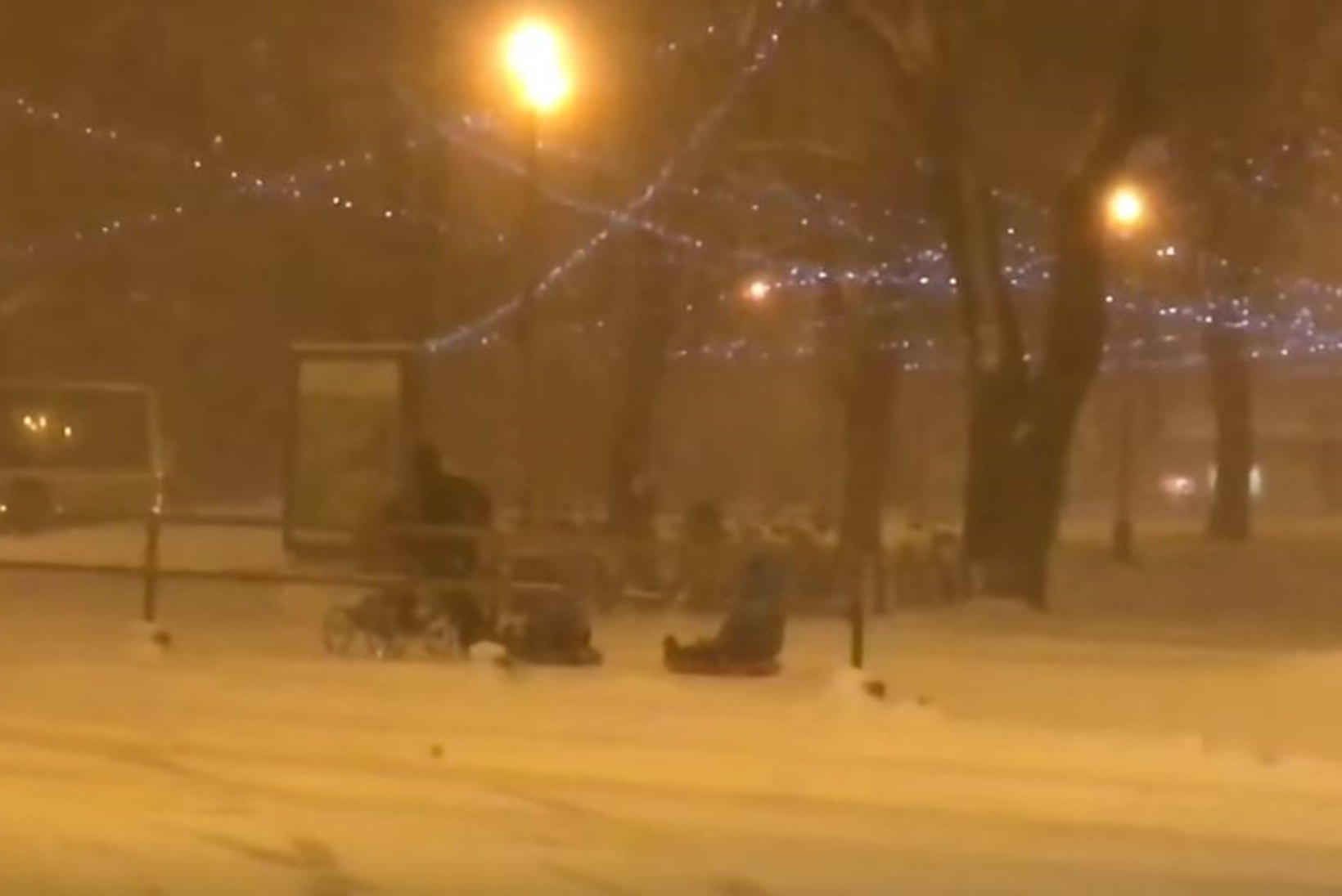 VIDEO | Silvia Ilves näitas ilmataadile, kuidas asjad käivad: mis see ära pole kolme last läbi lumetormi vedada!