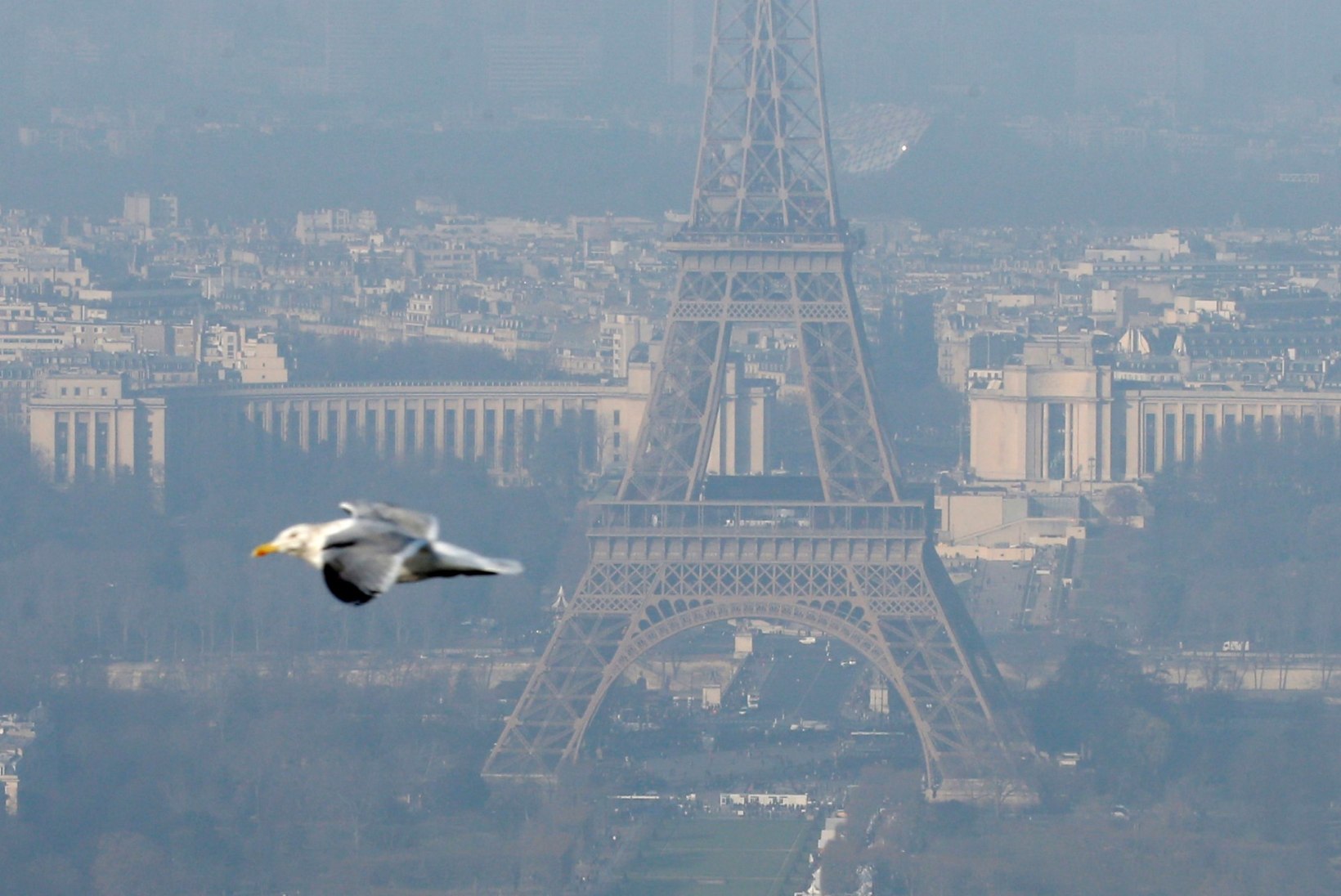 Pariisi linnapea tahab kesklinna autovabaks muuta