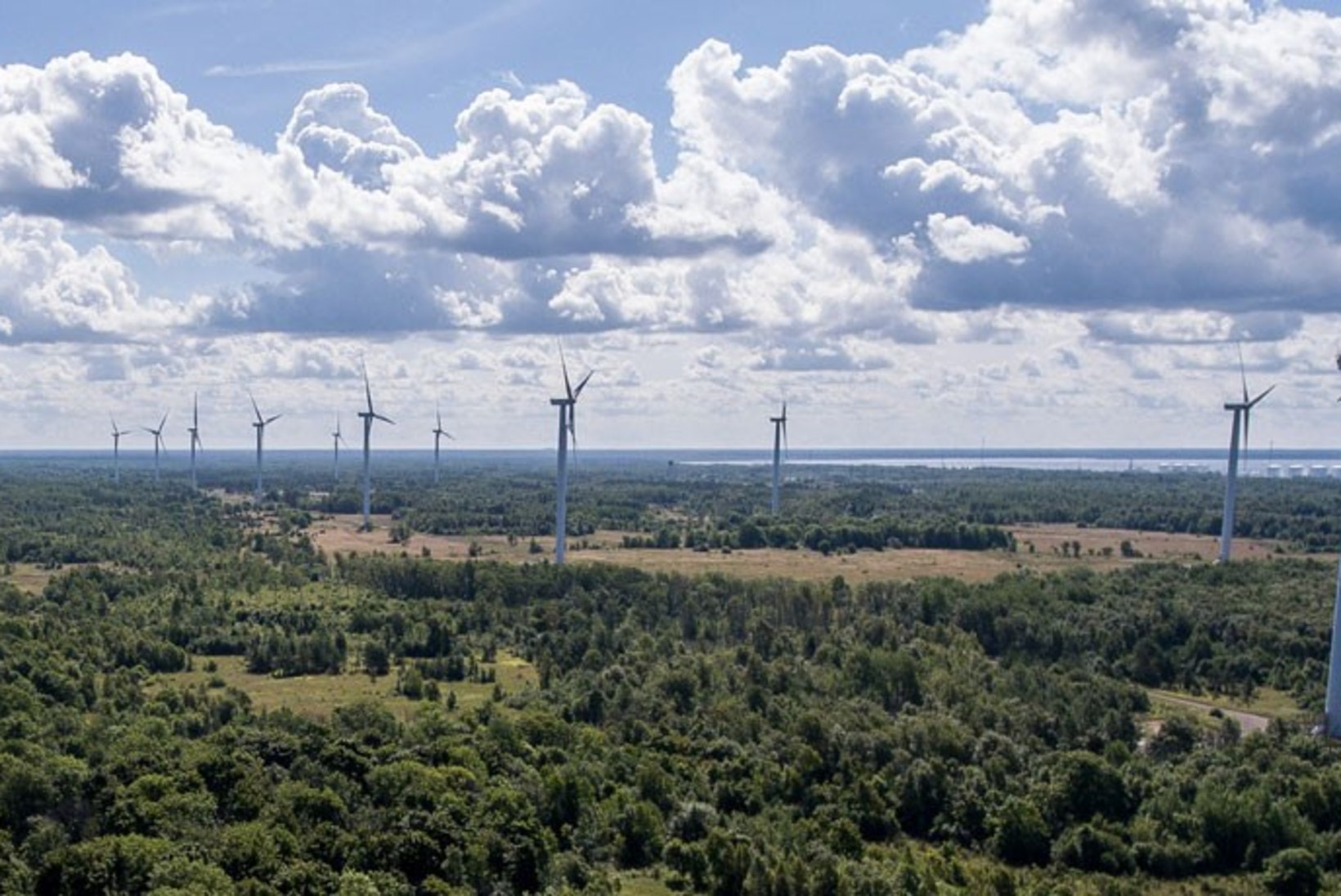 RMK pani Tootsi tuulepargikinnistu enampakkumisele alghinnaga 12,3 miljonit eurot