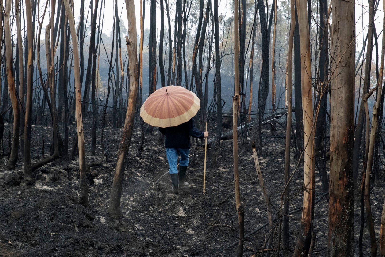Metsapõlengud Portugalis on nõudnud juba 36 inimese elu, kuulutati välja kolm leinapäeva