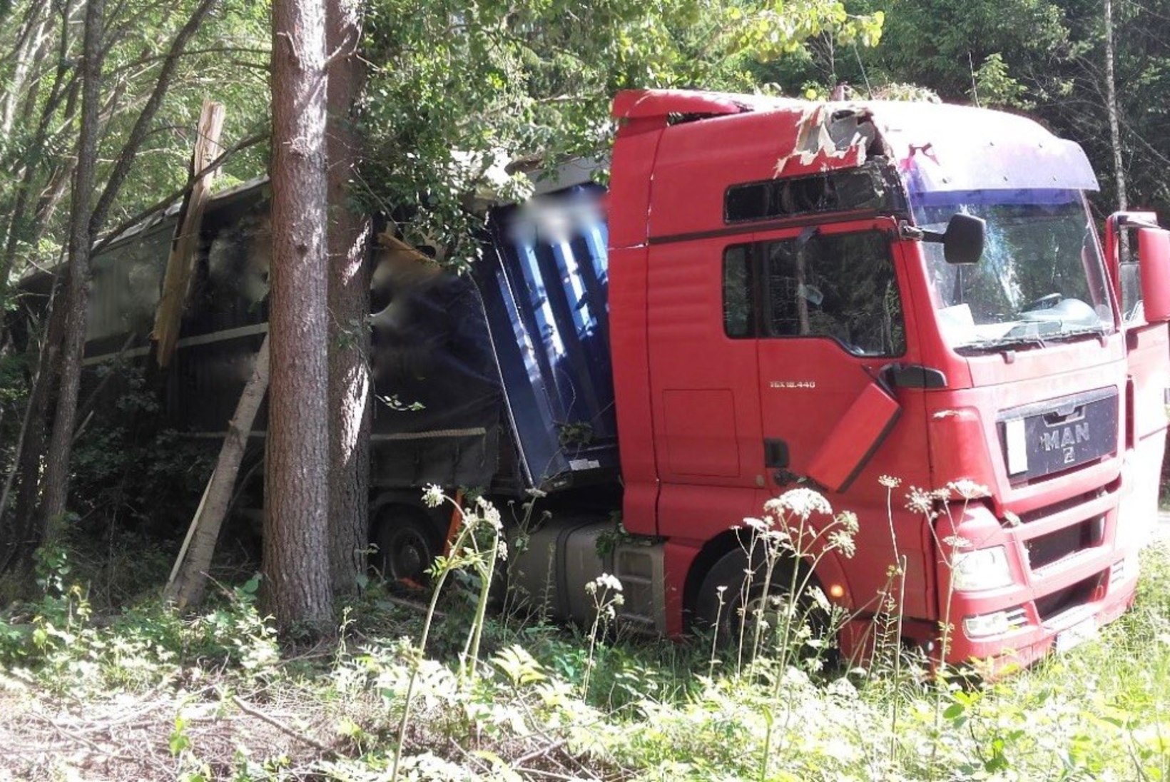 FOTO | Oravale otsasõidu vältimine läks maksma ligi 14 000 eurot