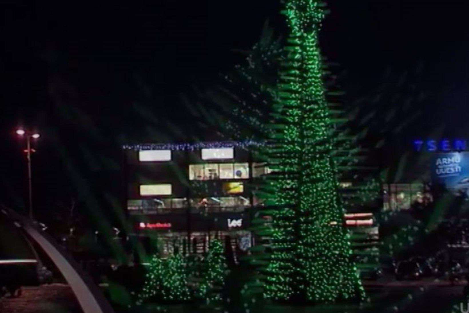 TV3 VIDEO | Tänavu tuleb Rakverre ehtne jõulupuu