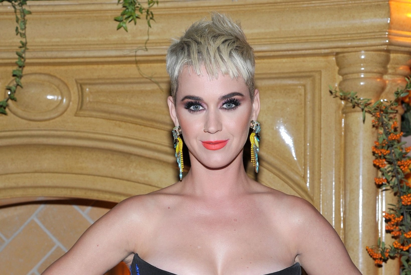 Katy Perry palk ajas „American Idoli" eelarve lõhki