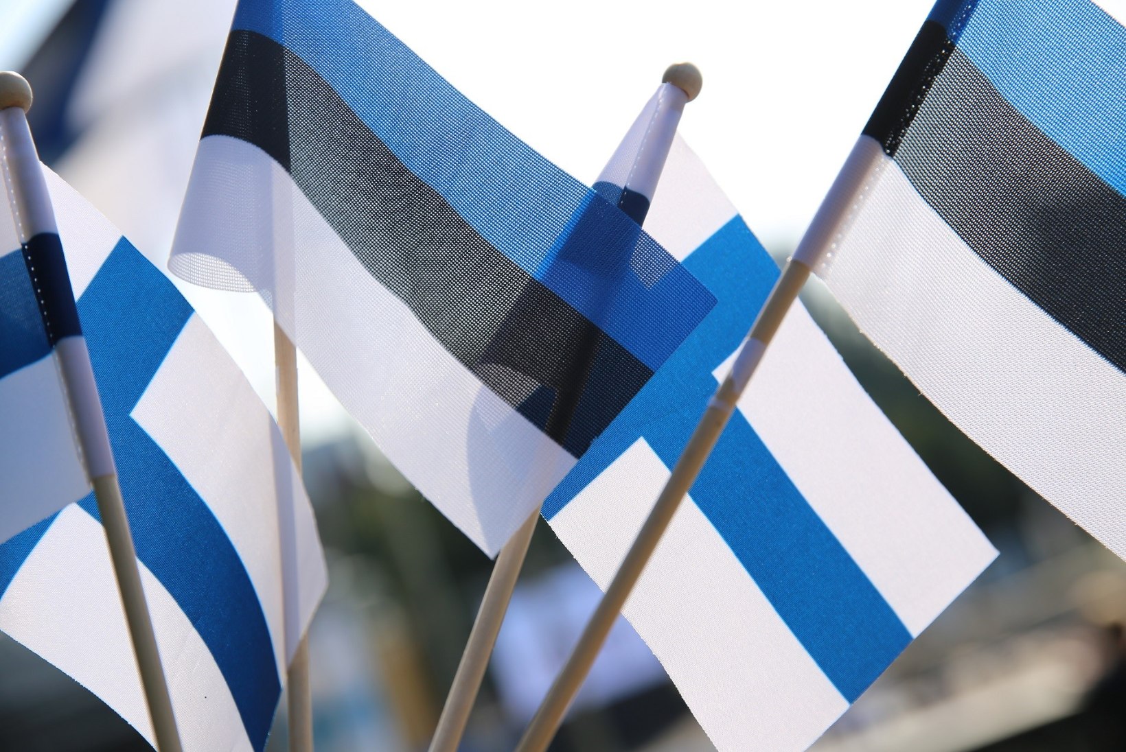 Soome 100. juubeliaastapäev tipneb Eestis lipupäeva ja ilutulestikuga  