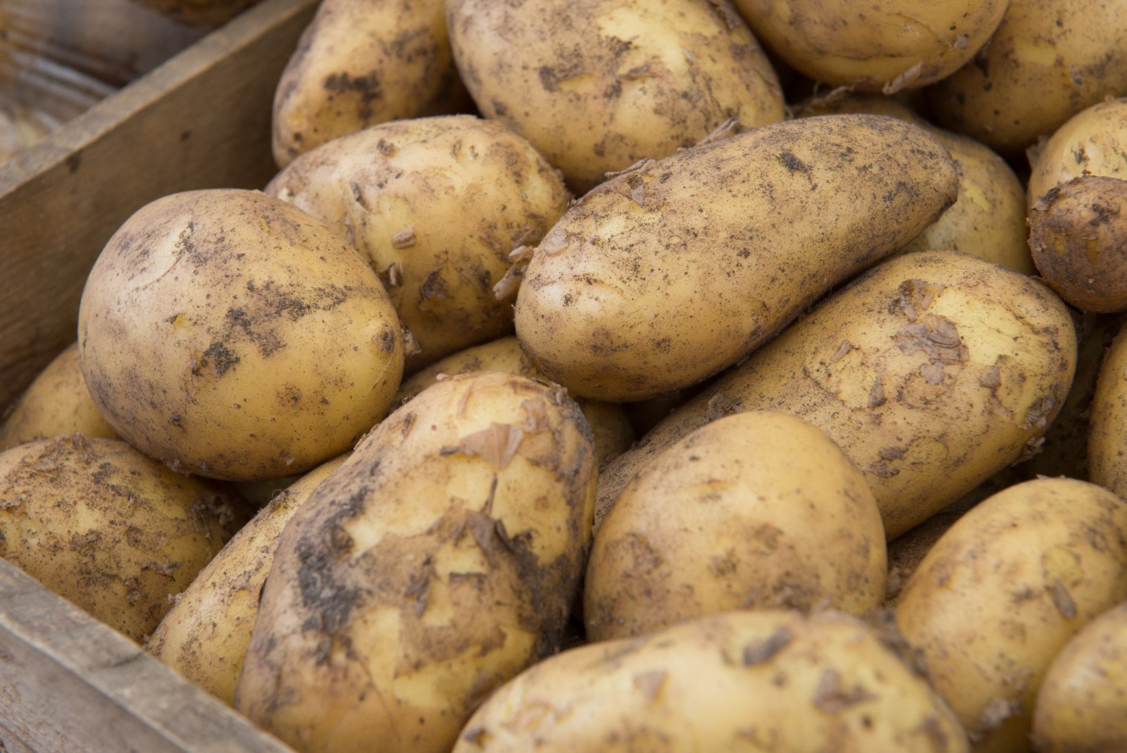 Hiinas tehakse kartulid Eesti teadlaste abiga nuudliteks