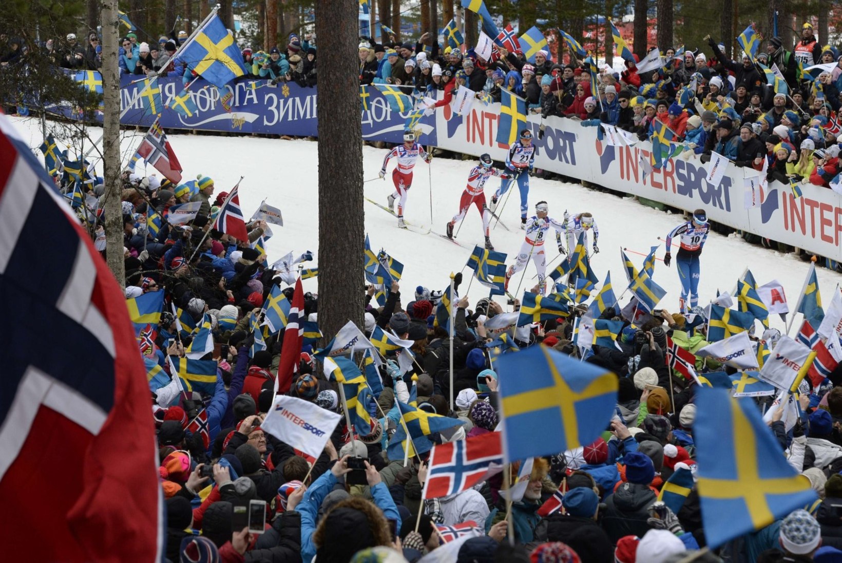 Vihased Norra dopingukütid boikoteerivad Pyeongchangi taliolümpiat