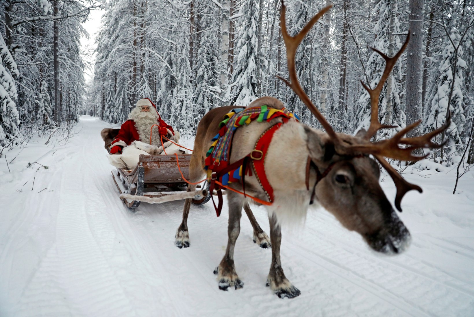 Mida toob jõuluvana Eesti spordile?
