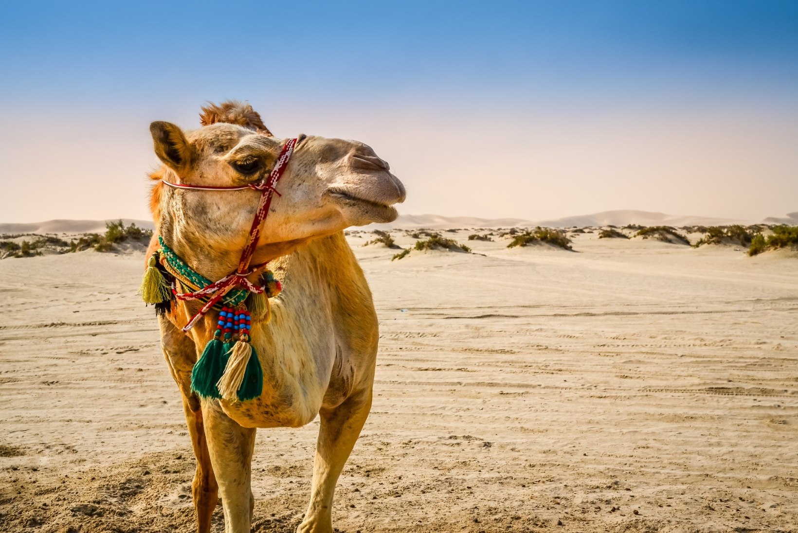 Mõned Saudi Araabia reisibürood saavad nüüd vormistada välismaalastele turismiviisasid