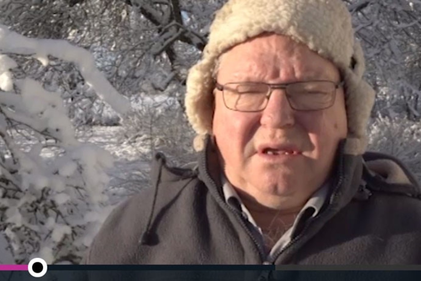 TV3 VIDEO | Metsavana hinnangul on jõulud Eestis valged