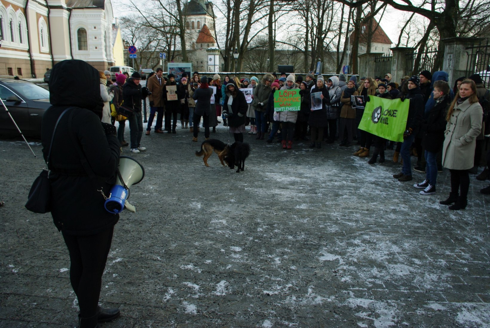 GALERII | Tänahommikusel karusloomafarmide vastasel meeleavaldusel osales üle 100 inimese