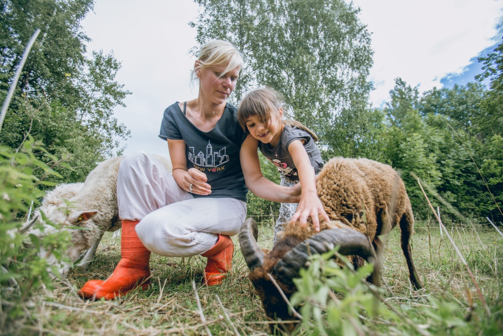 Uudiseid Heidi Hansolt: Pajuvärava talus sündis tõeline ime!