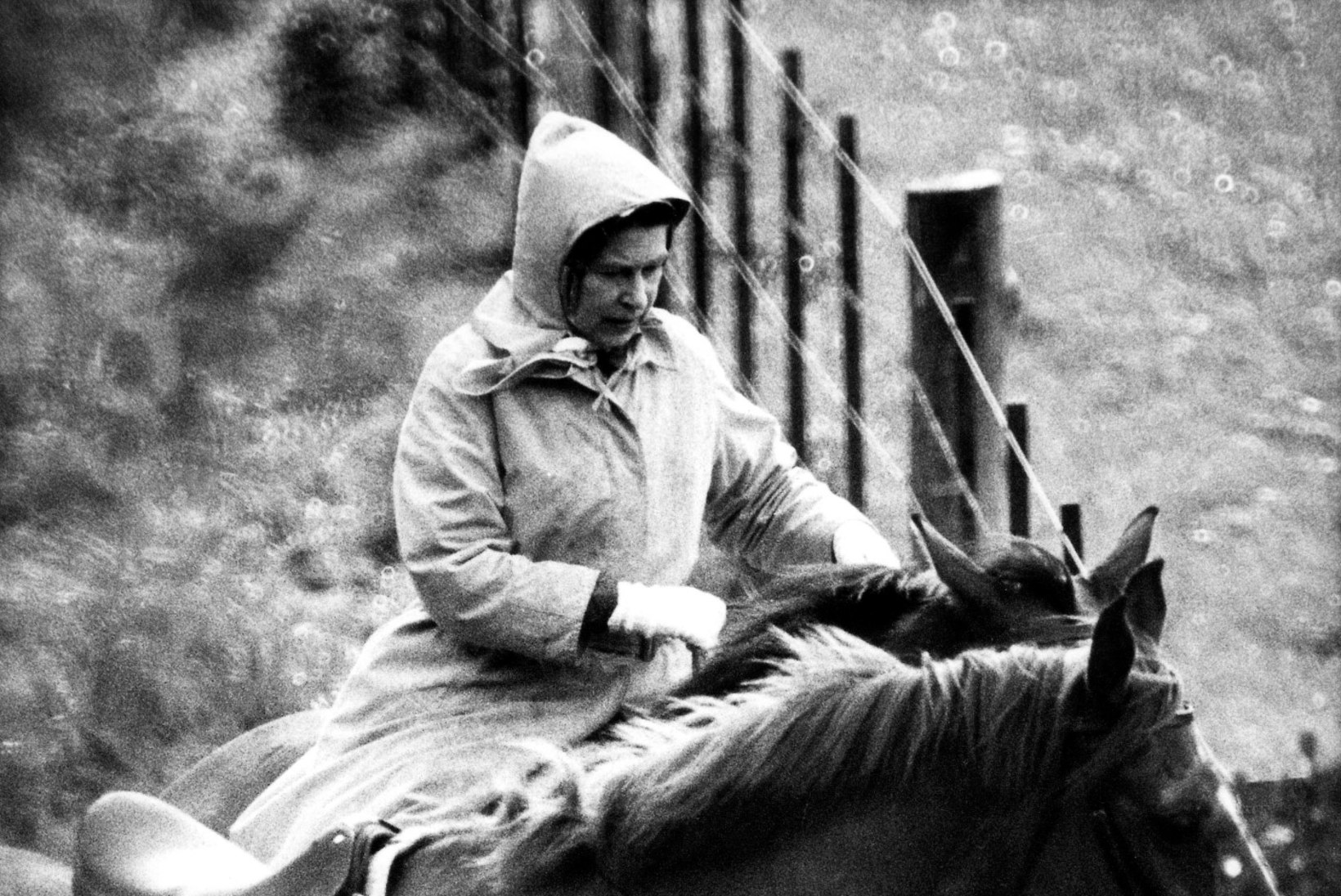 90aastane Elizabeth II kappab endiselt hobusel ringi - ja veel kiivrita!