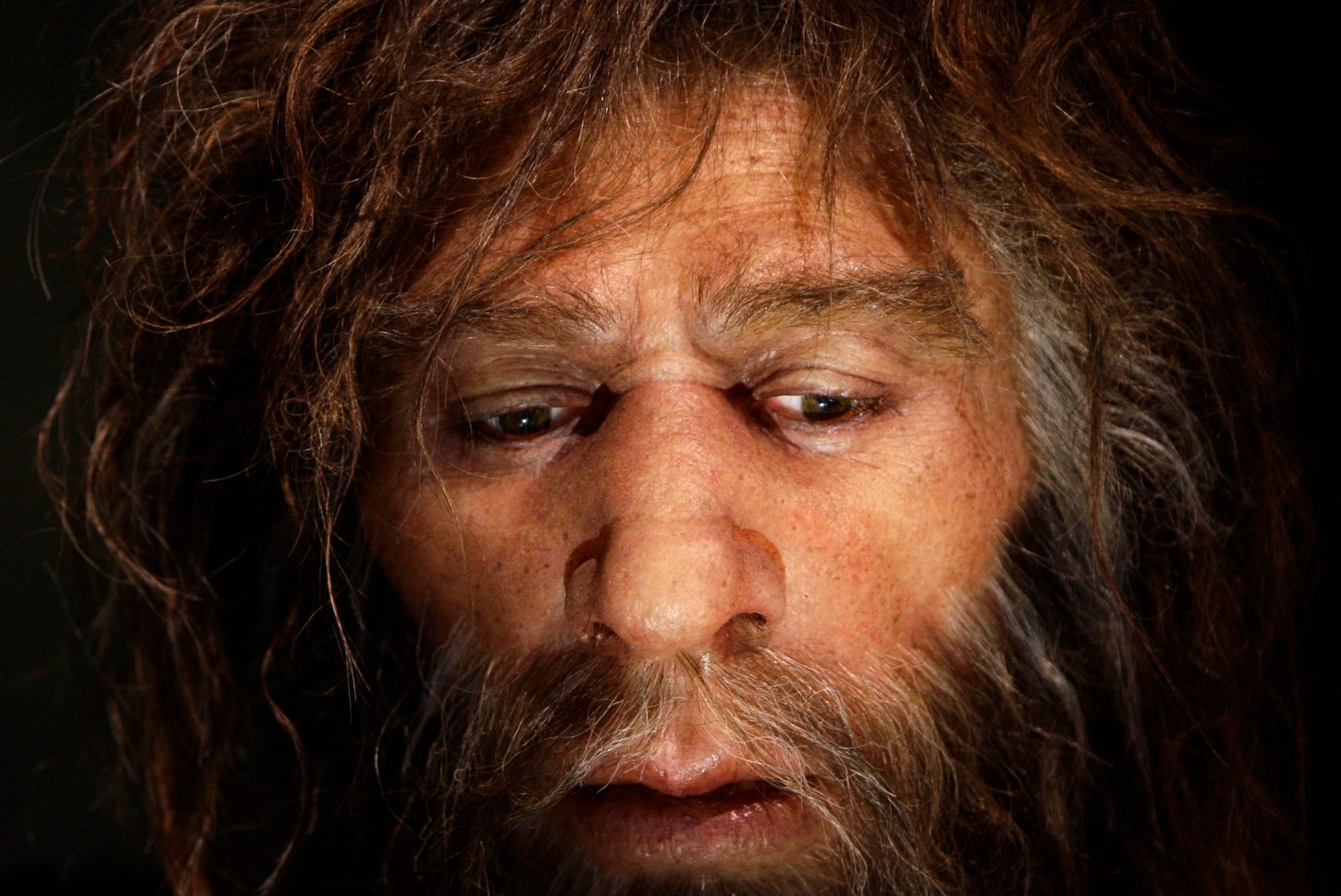 Kas neandertallased kasutasid valuvaigisteid ja antibiootikume?