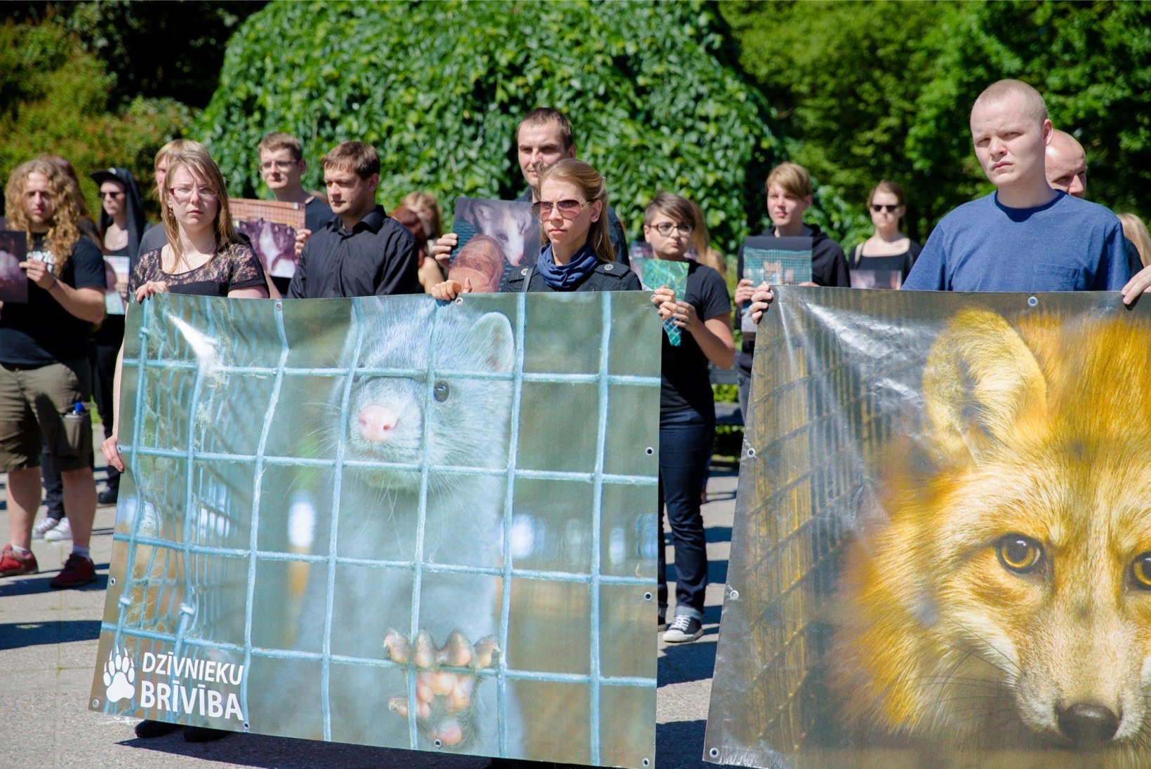 Tallinnas toimub rahvusvaheline rongkäik karusloomafarmide keelustamise toetamiseks