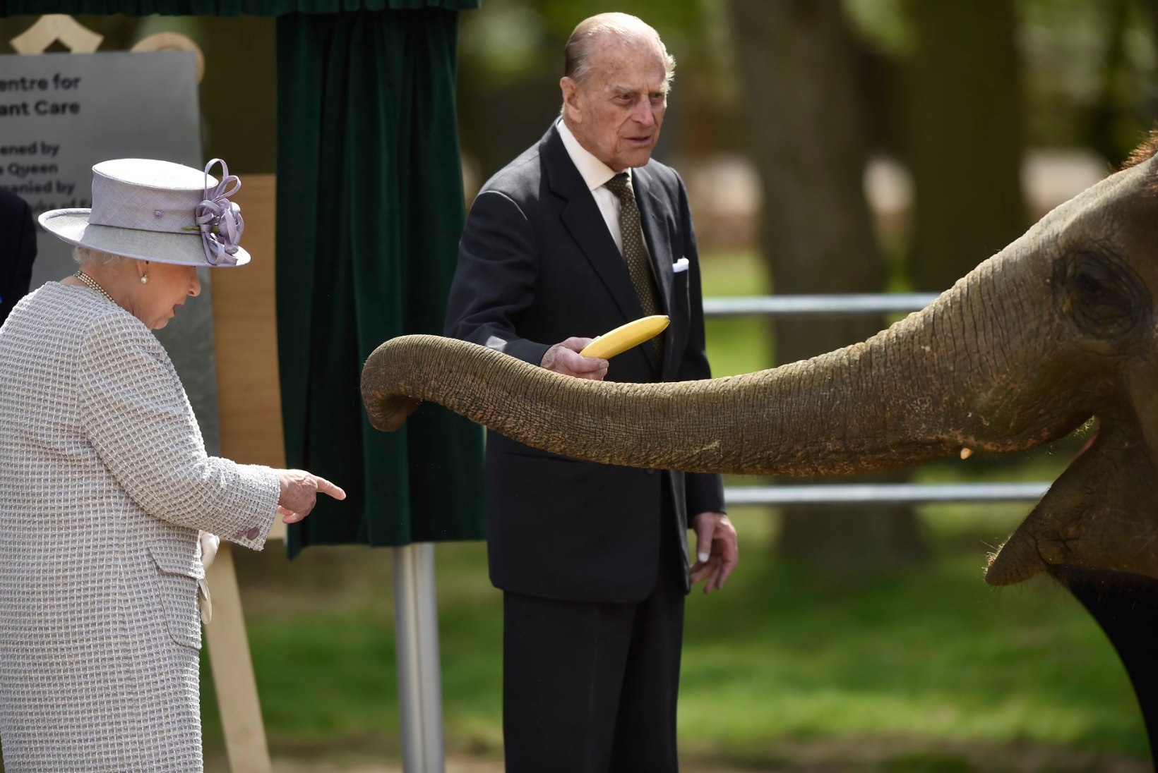 VAHVAD FOTOD | Kuninganna Elizabeth II kohtus nimekaimust elevandipreiliga