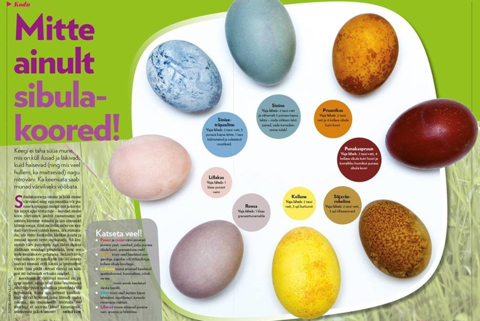 8 näpunäidet, kuidas värvida mune keemiata!