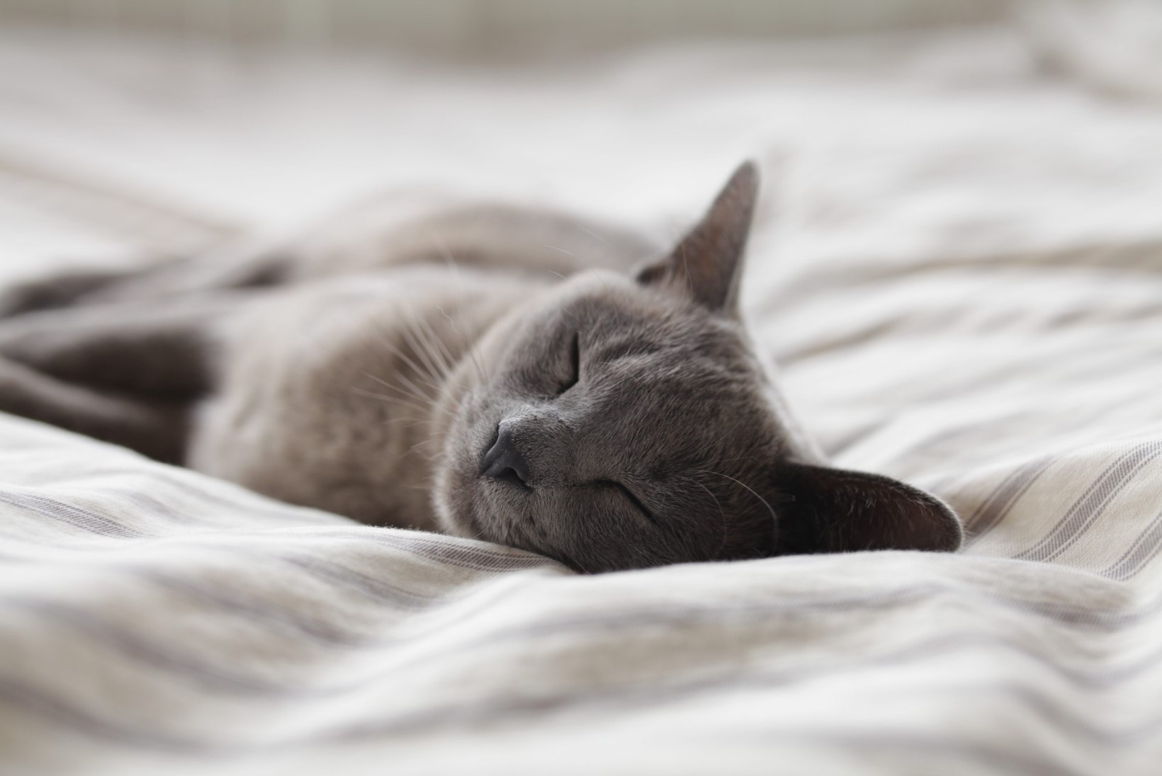 Neli väga head lõdvestumistehnikat, mis aitavad sul magada nagu nott 