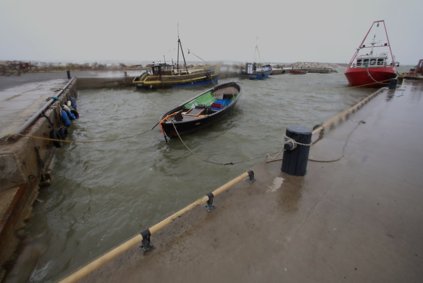 GALERII JA VIDEO: Avatud kalasadamate päev Leppneemes