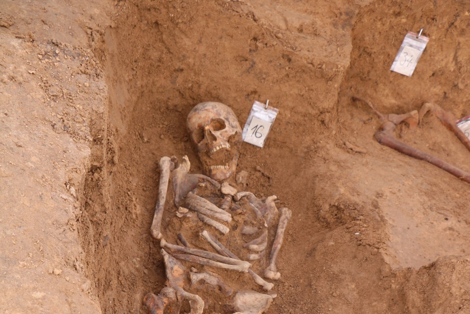 Arheoloogid kaevasid Vastseliinas välja maharaiutud pea ja lõikehaavadega laibad