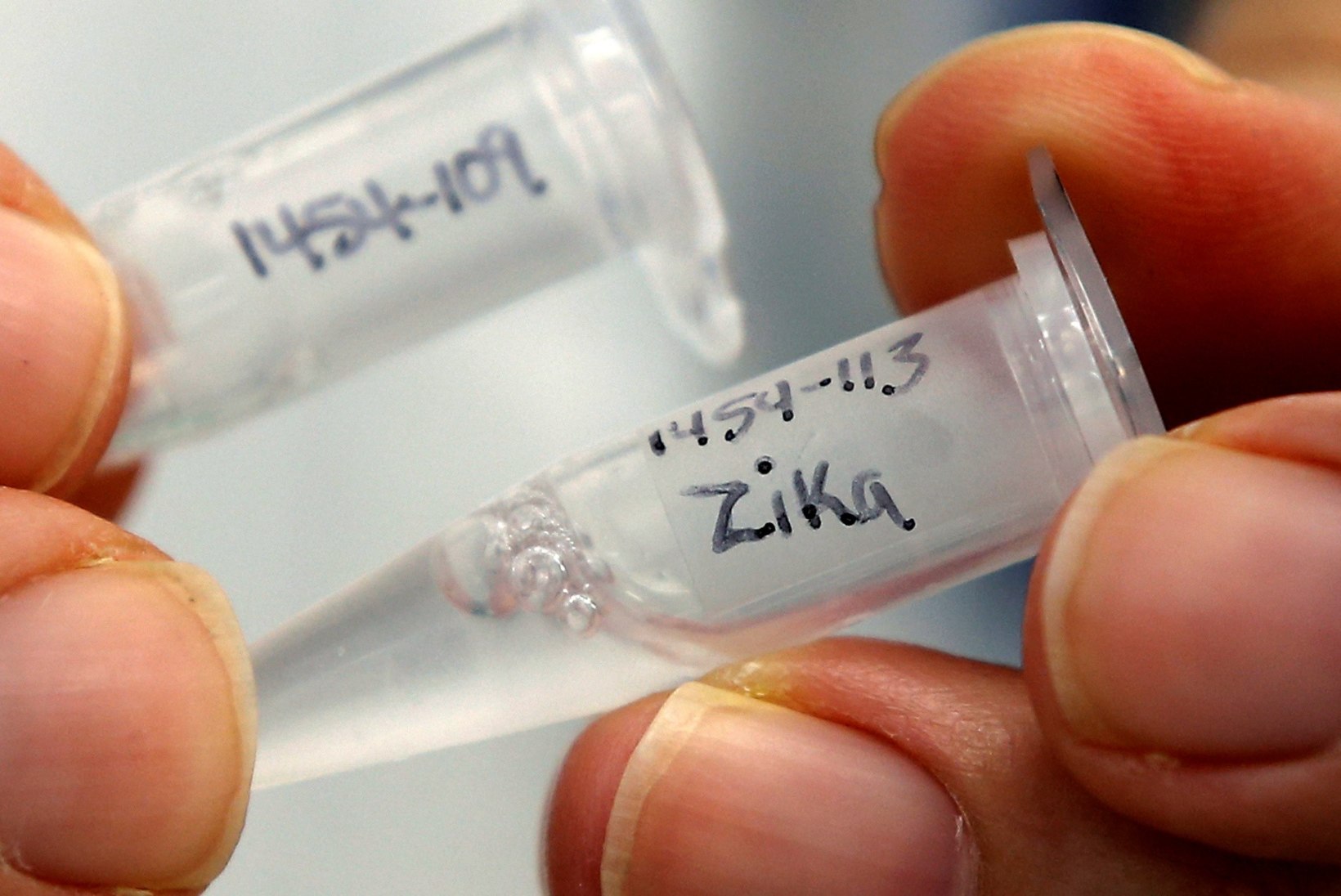 Brasiilia kuulutas lõppenuks riikliku hädaolukorra seoses Zika-viirusnakkusega
