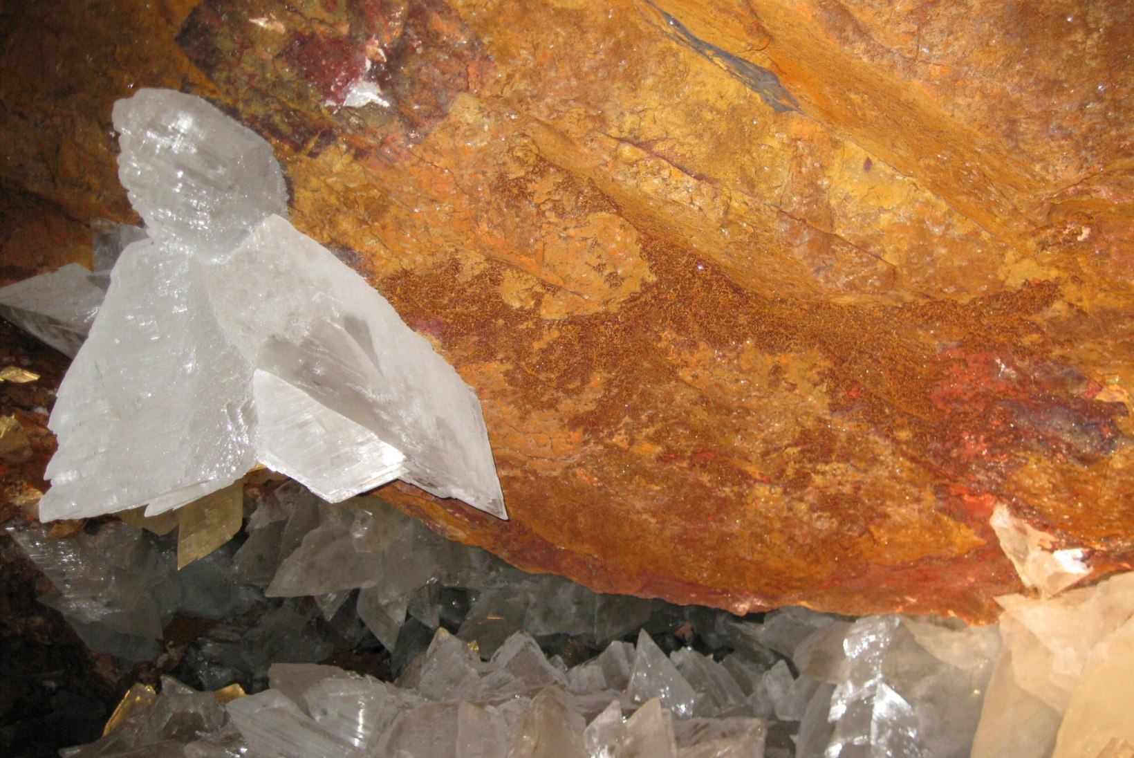 Mehhiko koobastest avastati iidvanad elusolendid