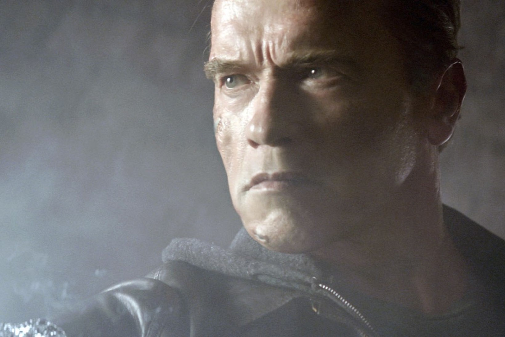 Schwarzenegger kinnitab: tulekul on kuues "Terminaatori" film