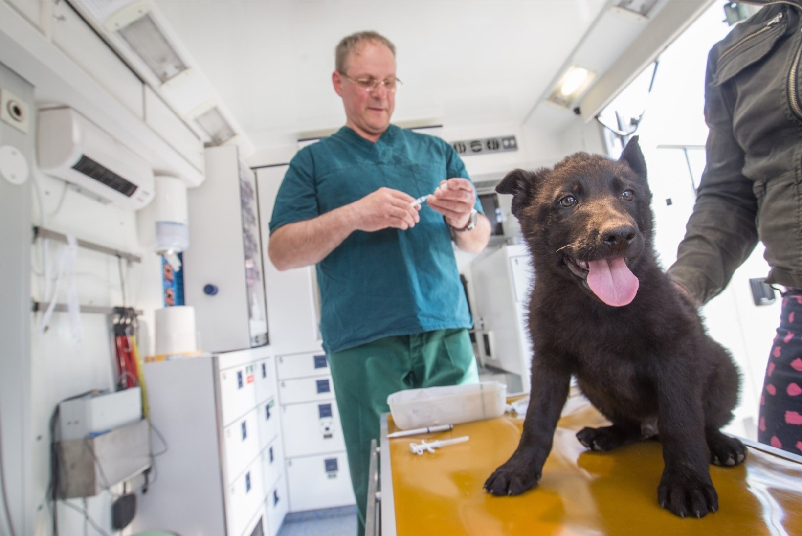 Eesti veterinaaria uus tase – loomakliinik, mis tuleb ratastel koduukseni