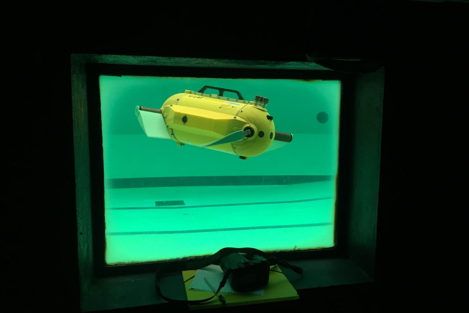 Biorobootik Maarja Kruusmaa paneb robotid kalade kombel ujuma