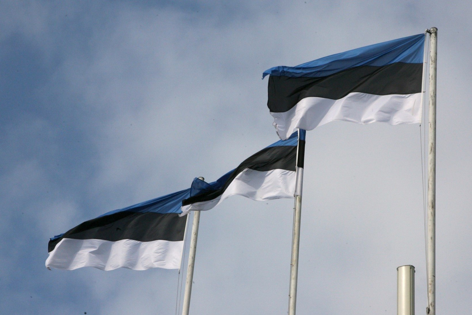 Eesti soovib eesistumiselt naabrite eeskujul kasumit saada