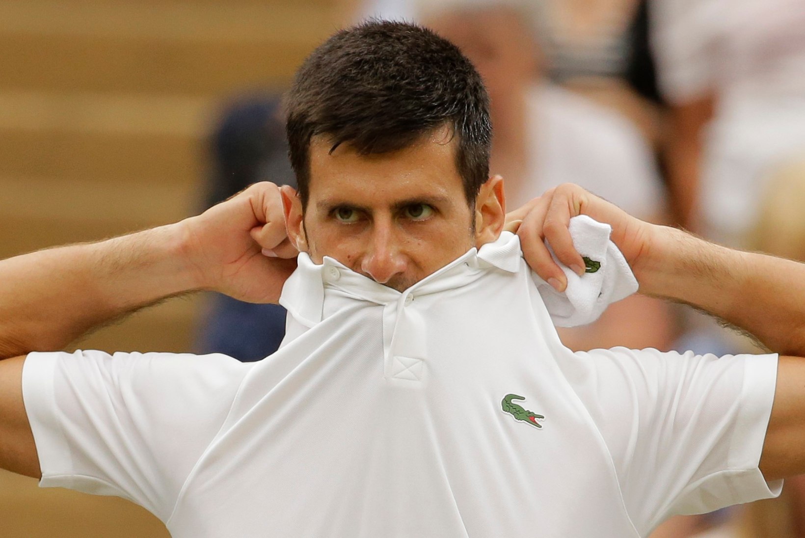 Djokovic murdis õlavigastuse kiuste Wimbledonis veerandfinaali