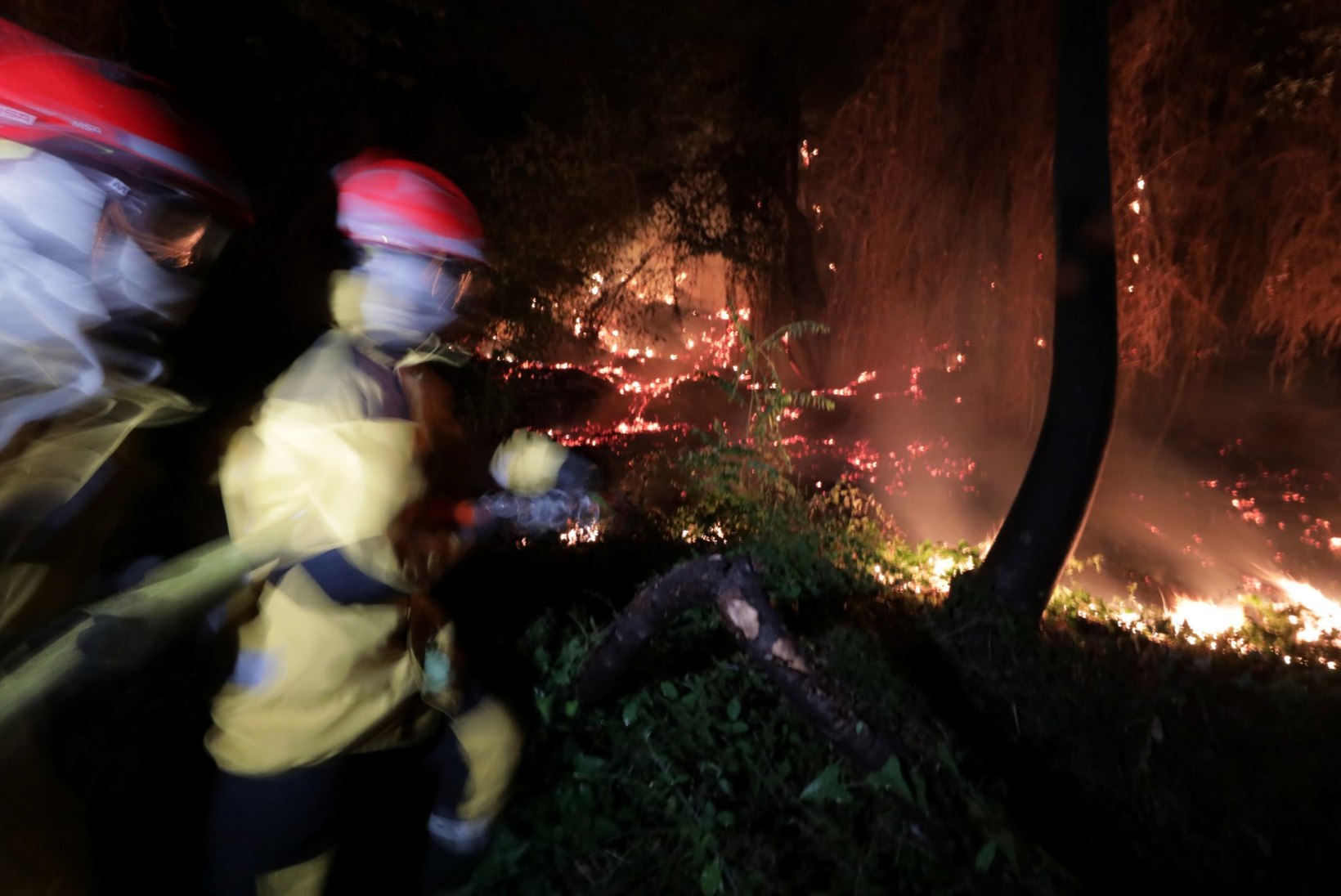 FOTOD | Prantsusmaa lõunaosa laastab ulatuslik metsapõleng