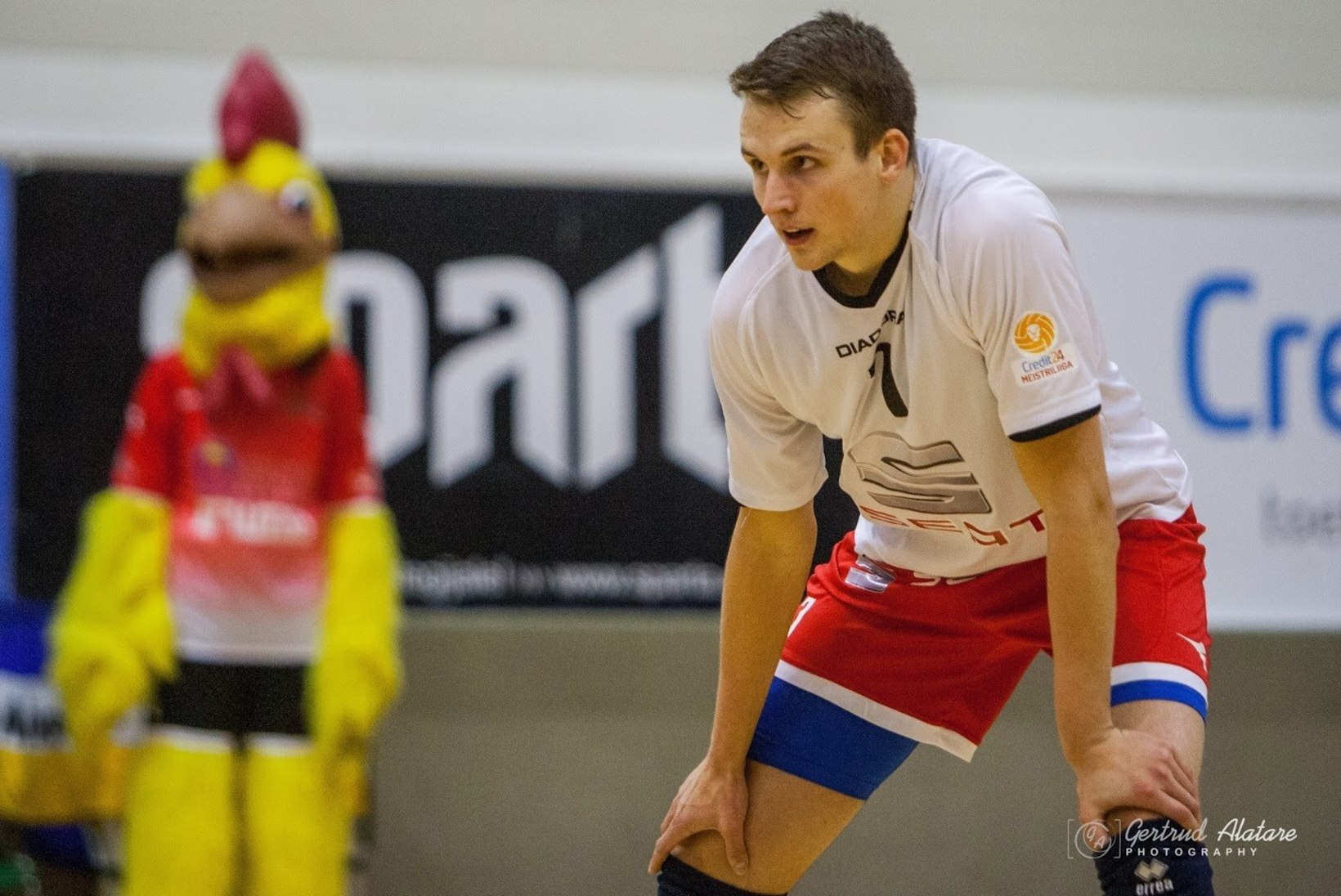 Eesti võrkpalliklubid värbavad üksteise võidu mängijaid