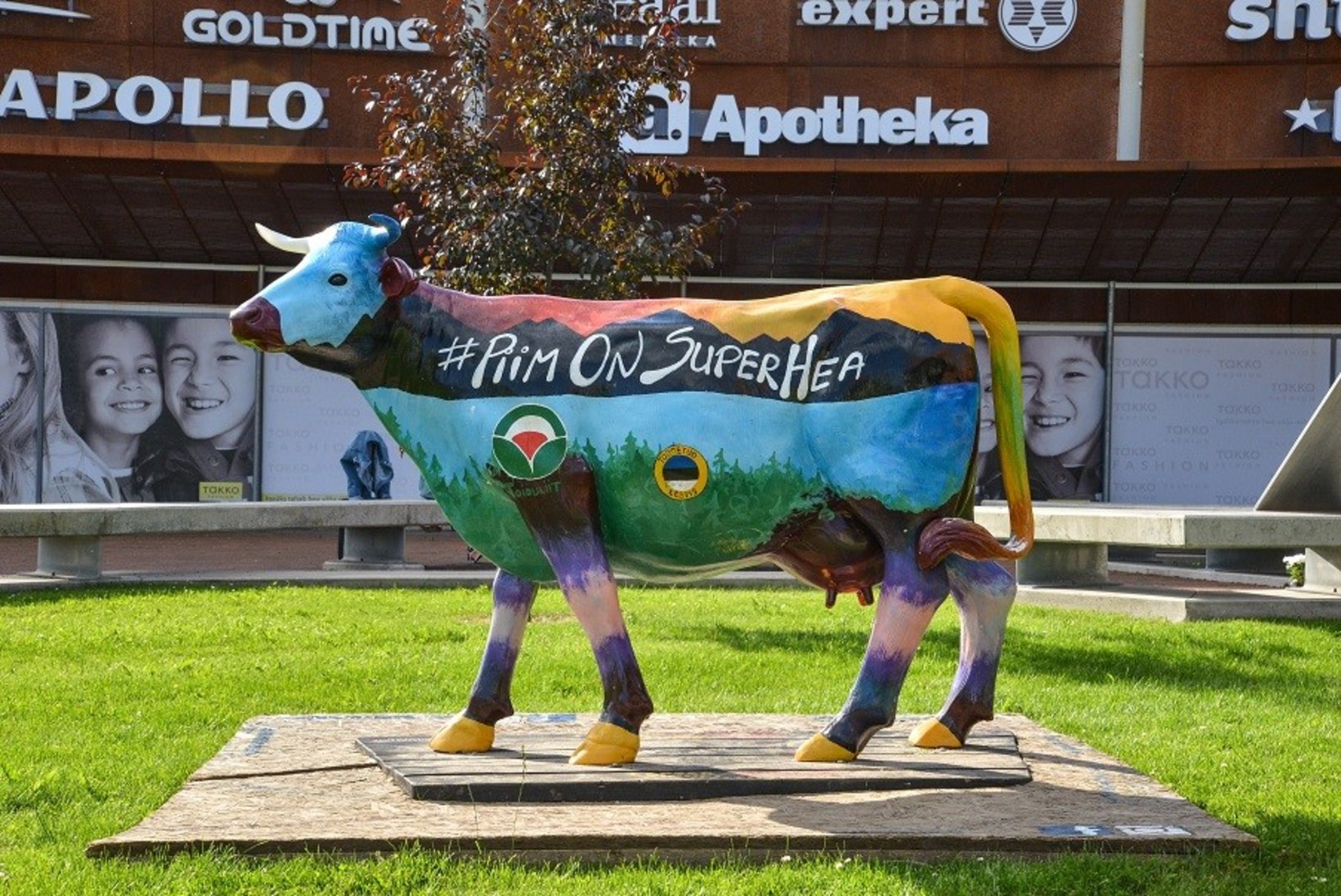 FOTOD | Viljandi saabus värvikirev lehm!