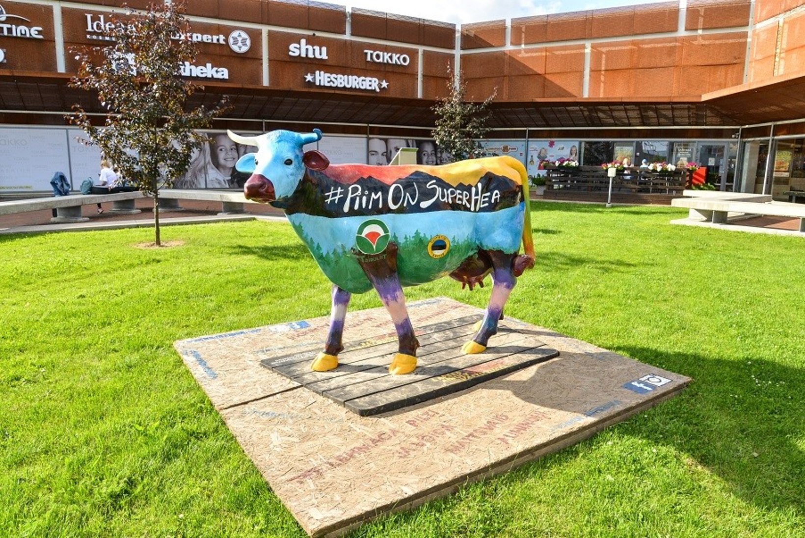 FOTOD | Viljandi saabus värvikirev lehm!