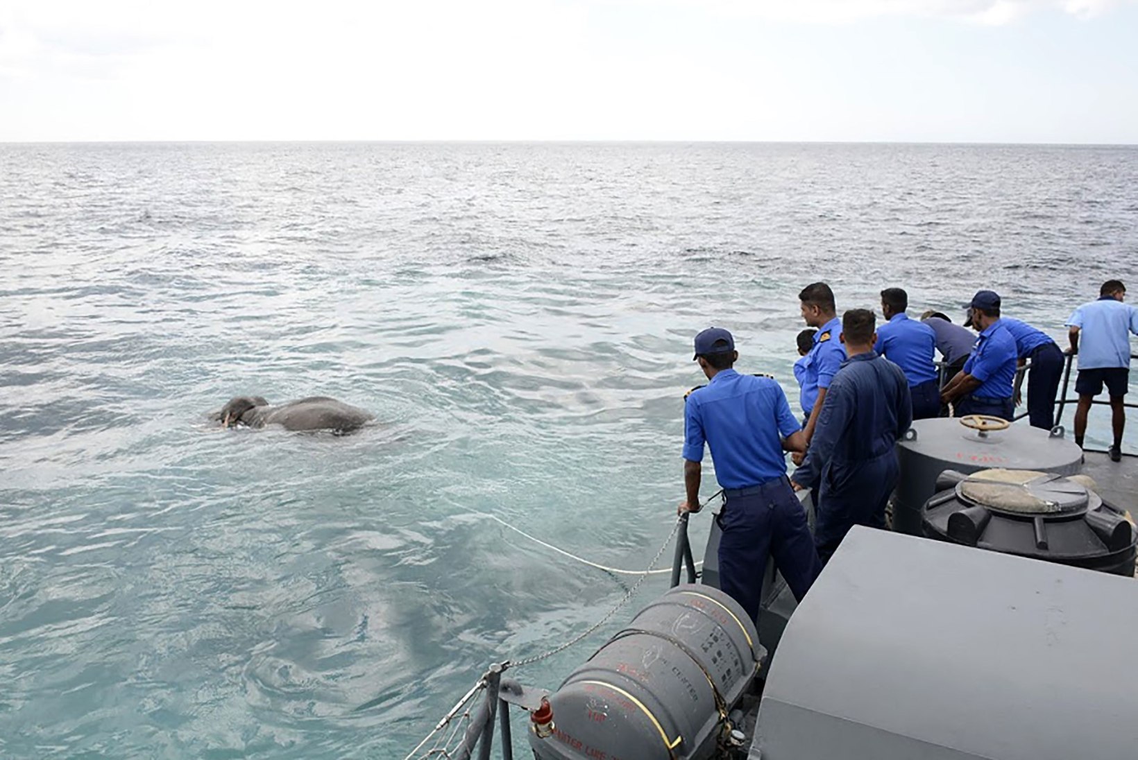 VIDEOD JA FOTOD | Sri Lankal päästeti surmasuust avamerele sattunud elevandid