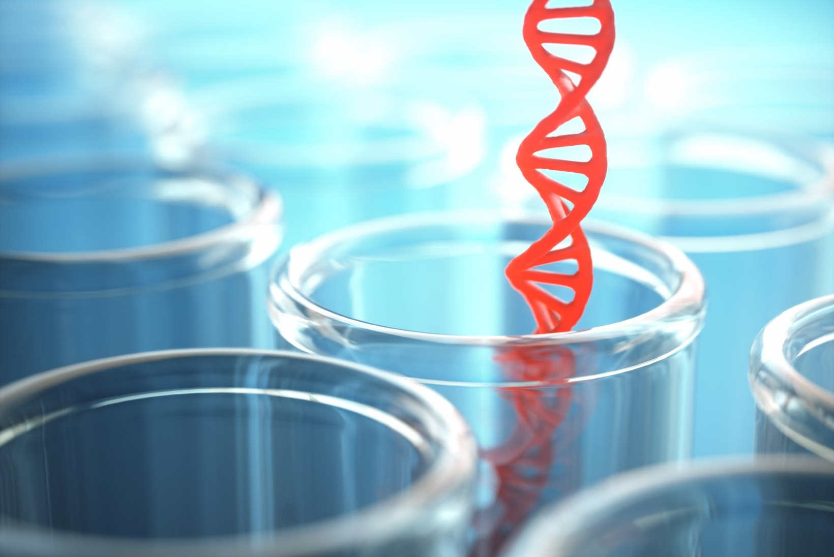 TEADLASED: haiguste geneetilise riski hindamisel mängib olulist rolli inimese päritolu