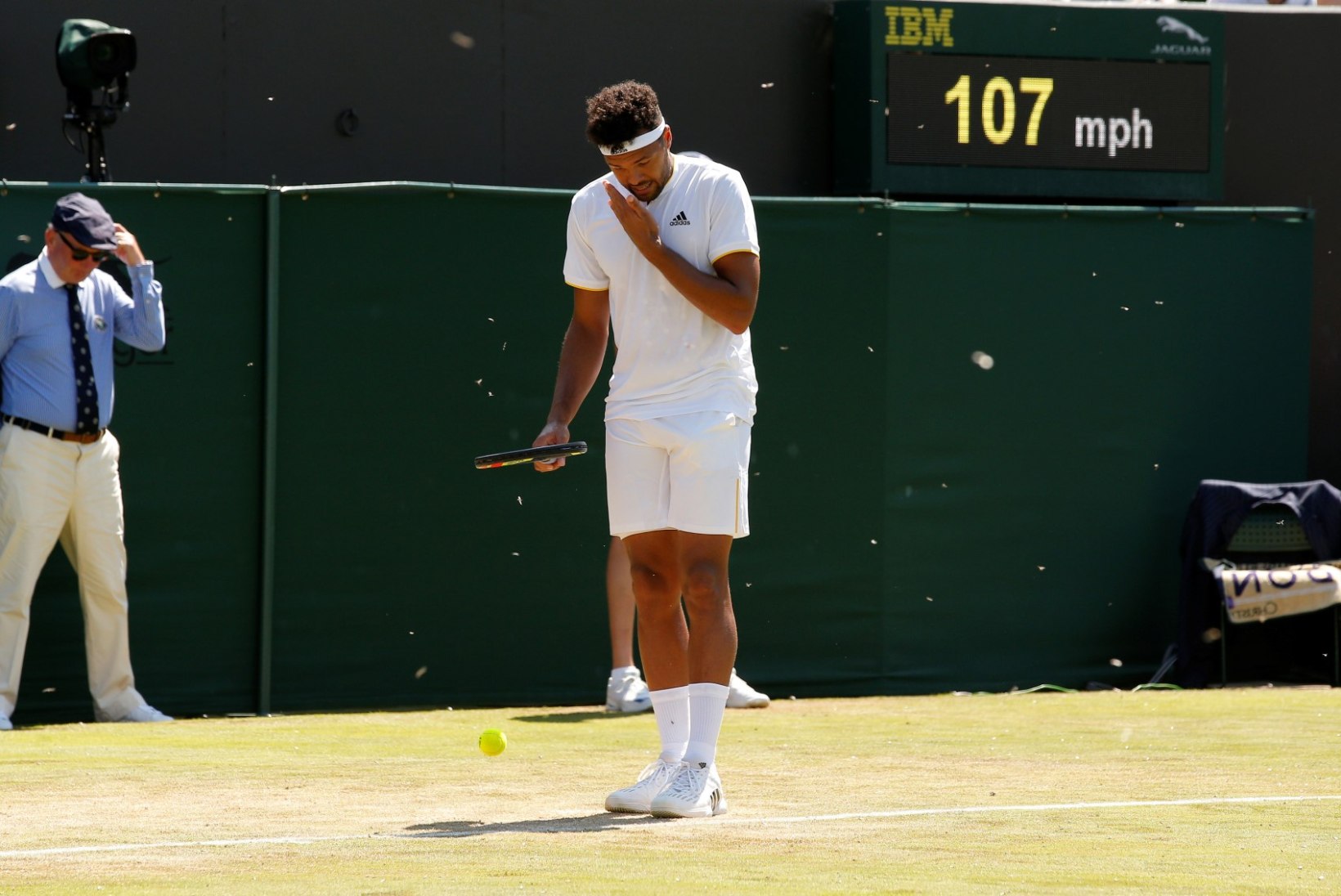 KURI KARJAS! Tüütud olendid ajasid Wimbledoni tennisistide närvid krussi