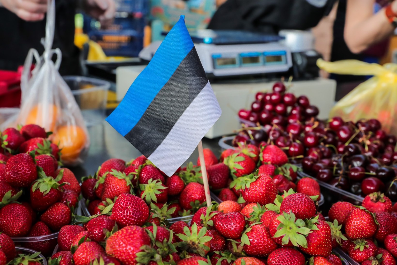 VIDEO | Karin Rask: maasikakook või -jäätis ei pea ilmtingimata sisaldama suhkrut 