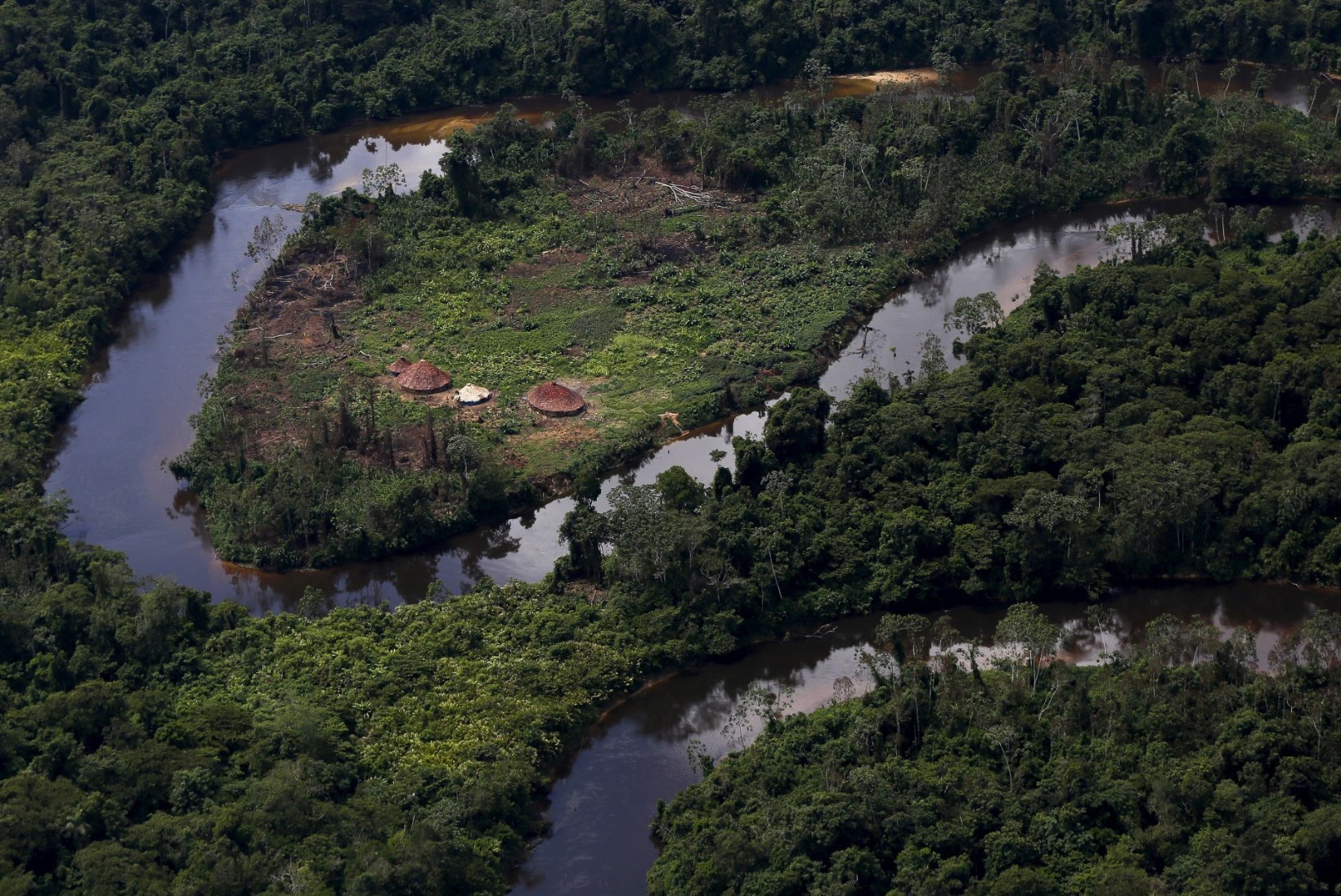 KULLA NIMEL: Brasiilia valitsus andis loa vihmametsas kaevandada