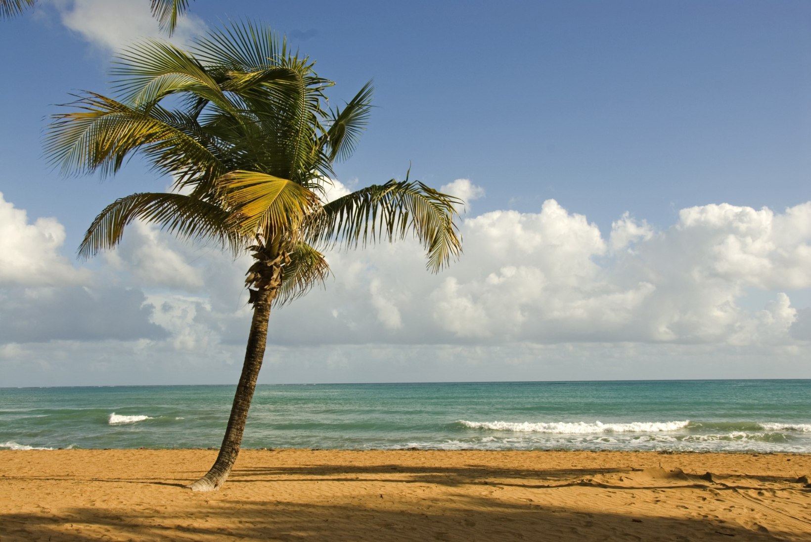 "Despacito" on rakendatud Puerto Rico turismivankri ette!