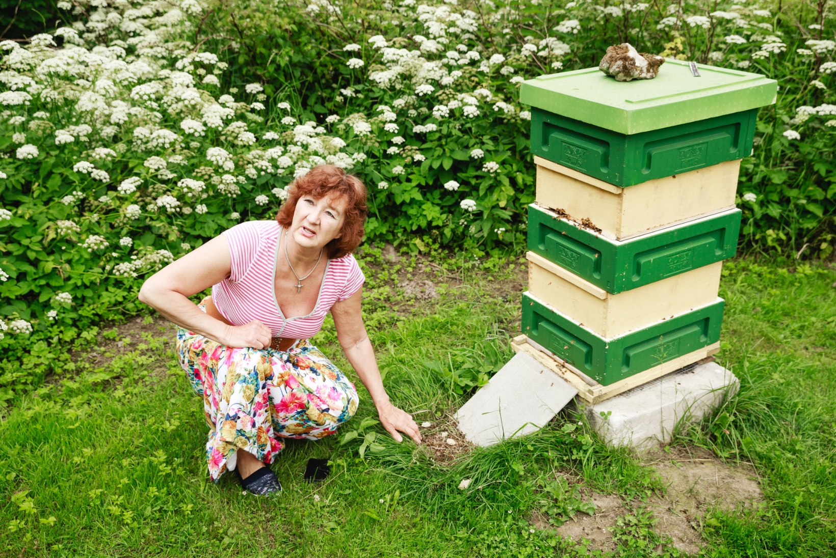 Miljonitest mesilindudest ilma jäänud mesinik läheb kohtusse