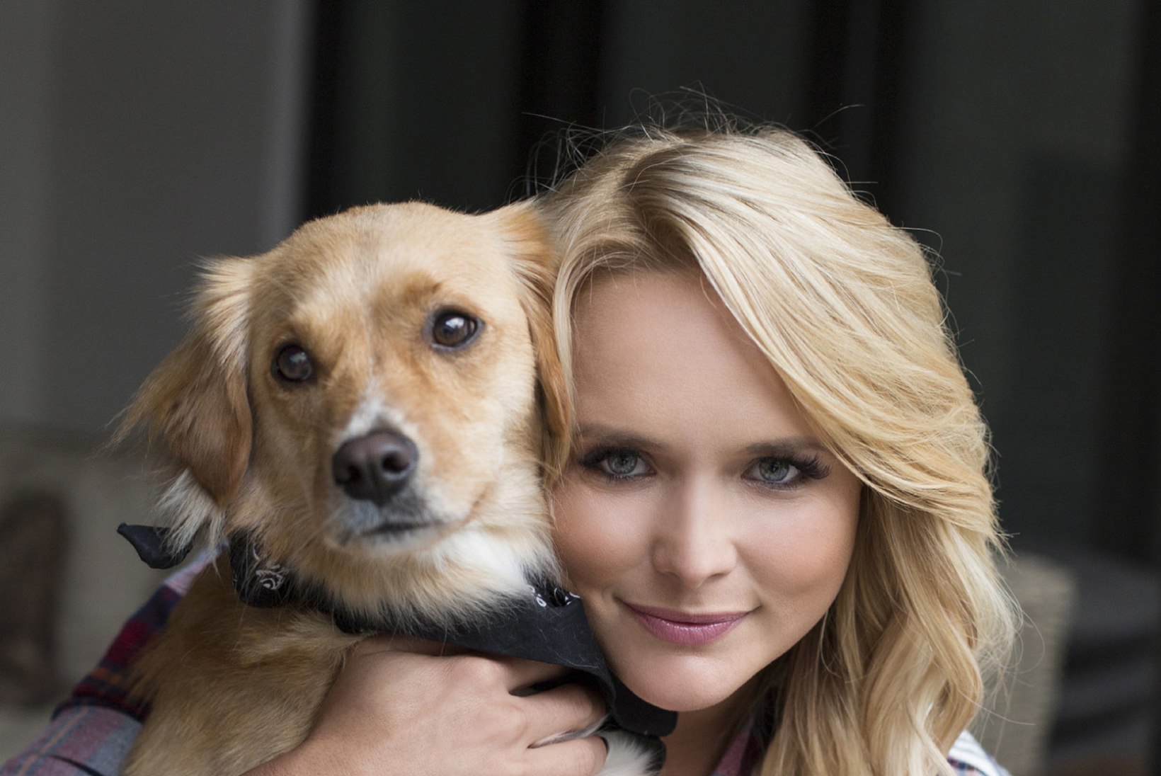 Kantrikaunitar Miranda Lambert päästis 72 koera