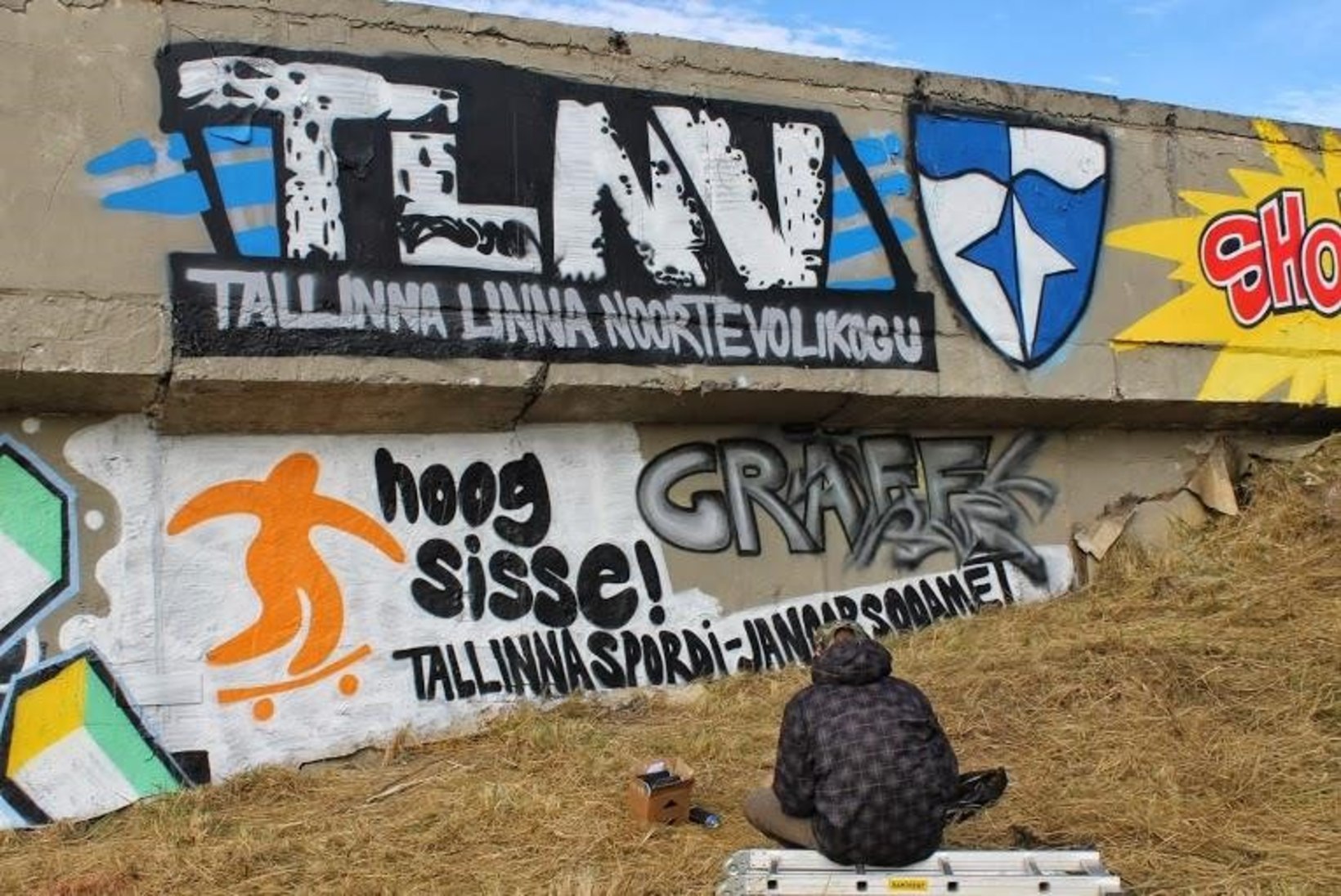 LINNAHALL AJAS HAMBA VERELE? Tallinna noored nõuavad legaalsete grafitiseinte rajamist