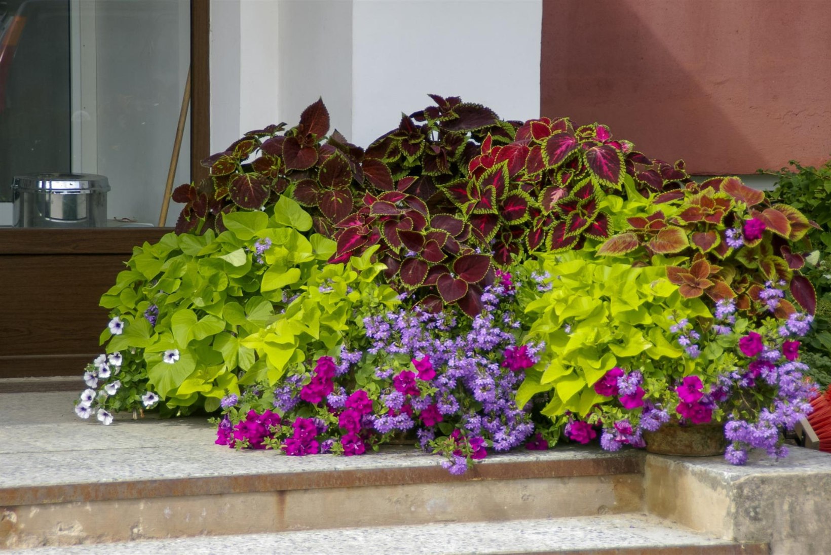 Too aeda värvi! Purpursed taimed haljastuses